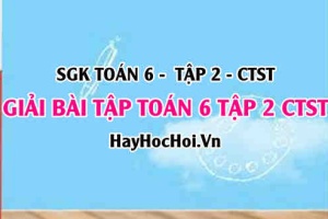 Giải Bài tập Toán 6 tập 2 SGK Chân trời sáng tạo
